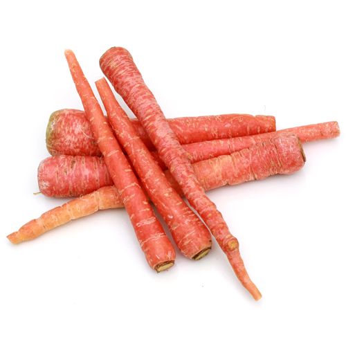 Carrot (Red)
