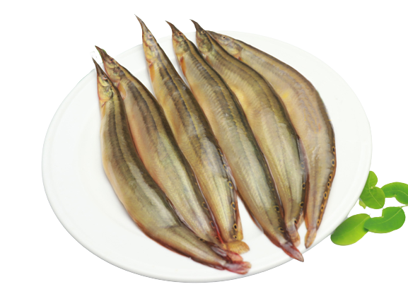 Pakal Fish. (15-25Pcs Per Kg)