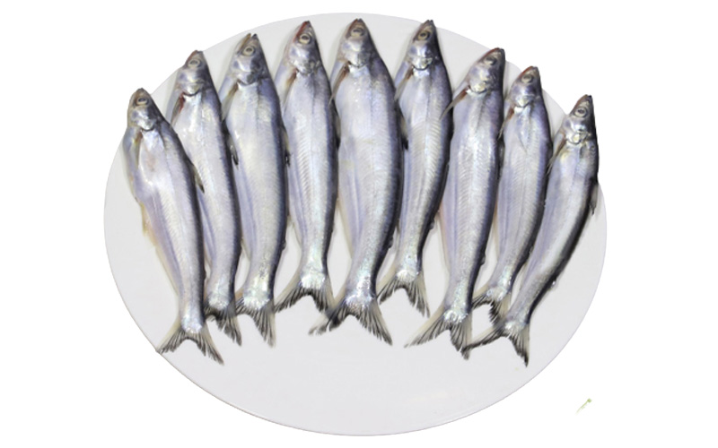 Bacha Fish (5-10 Pcs Per Kg).